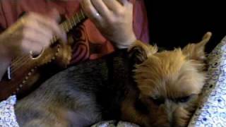 Pennies From Heaven with verse Ukulele UkesterBrown [upl. by Eiahpets]