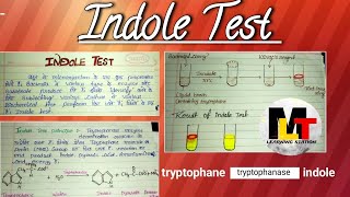 Indole test ।। Definition principle procedureuses of Indole test।। [upl. by Aihselat]