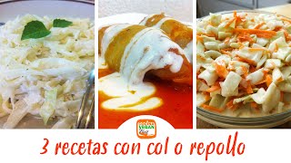 3 recetas con col o repollo  Cocina Vegan Fácil [upl. by Lind]