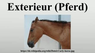 Exterieur Pferd [upl. by Odrick]