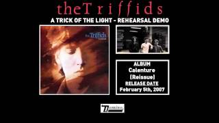 The Triffids  A Trick Of The Light Rehearsal Demo [upl. by Wengert]