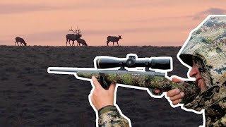 How to Select an Elk Hunting Cartridges  Bulls Bullets amp Ballistics with NOSLER [upl. by Ailongam652]