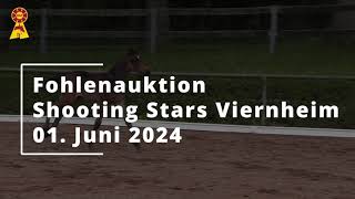 Trailer DSPHybridFohlenauktion SHOOTING STARS am 1 Juni 2024 in Viernheim [upl. by Annahtur]