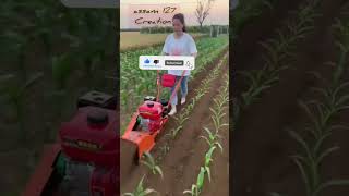 Power weedertillering machine assam127 shortsvideo assamfarmer farming shortsviral kvk [upl. by Phiona672]