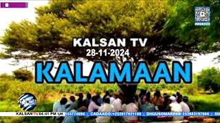 Wararka Telefishinka Kalsan TV Tebin Maxed Salaad 30112024 [upl. by Etnemelc]