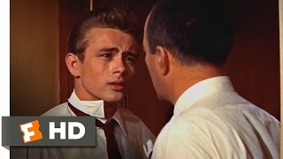 Rebel Without a Cause 1955  I Dont Ever Wanna Be Like Him Scene 310  Movieclips [upl. by Annawahs]