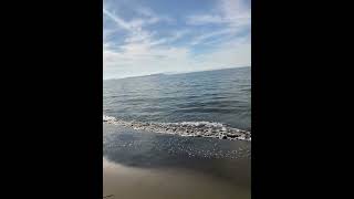 Ocean ASMR☀️🌊 happyplaceoceanwavesLivelifeoceansounds pacificocean [upl. by Sabine916]