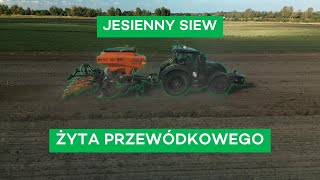 SIEW ŻYTA JAREGO JESIENIĄ  DLA KOGO TAKIE ROZWIĄZANIE   286 nawozy nonstop [upl. by Wilmer183]