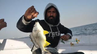 kemari fishing  kemari to open sea  catch big sea bream  day bottom fishing in Karachi [upl. by Liagaba]