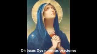 Rosario de nuestra señora de las lagrimas completo y con subtitulos [upl. by Anyr]