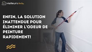 Enfin la solution inattendue pour éliminer l’odeur de peinture rapidement [upl. by Akemak696]