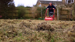 Lawn Scarification  Correct Scarification Procedure [upl. by Kathe]