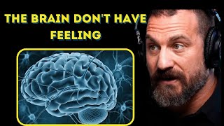 Dr Andrew Huberman  We have no feelings The Brain Lies [upl. by Kelila]