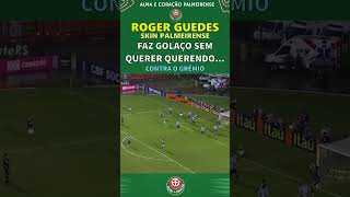 PALMEIRAS VENCE GREMIO COM GOLAÇO POR ACASO [upl. by Sussman648]