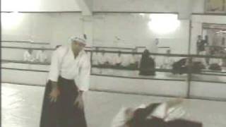 Stage daikido  Kyoshi Aoki sensei [upl. by Akerboom579]