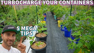 Do This NOW To Turbocharge Your Container Garden [upl. by Aldin]