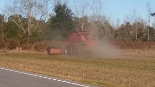 Case ih 2388 with 30 ft 2020 header cutting soybeans [upl. by Ahsyla]