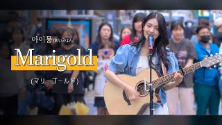 아이묭あいみょん “Marigoldマリーゴールド” Cover by 규빈Gyubin 부산 서면 딩가딩가 버스킹 LIVE [upl. by Solegna]