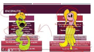 Neurología Pediátrica Repaso rápido ENARMMIR [upl. by Yltneb]