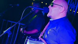 2018 TMA Fan Fair JR Gomez Y Los Conjunto Bandits [upl. by Poock]