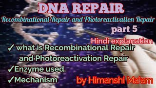 DNA Recombinational repair and Photoreactivation Repair in Hindi by Himanshi Maam [upl. by Ylesara]