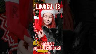 LUUKKU 13 Joulusukka ❤️ DIY [upl. by Yelyab]