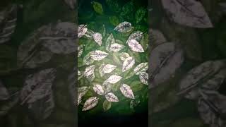 My Owen Handmade Leaf Art leafPaining leafart painting status short viral like Art [upl. by Poll]