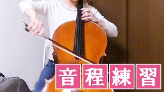 【チェロ】音程練習を始める前に予め確認すべき２つのこと【右手】 [upl. by Enyaz]