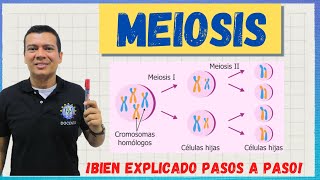 MEIOSIS EL CICLO CELULAR BIEN EXPLICADO [upl. by Melak378]