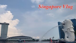 3 full days in Singapore  Merlion Sentosa Bugis shopping shenanigans [upl. by Irdua39]