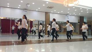 Stumbling In  Line Dance Beginner Level [upl. by Willow]