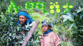 ሎሚ ሽታ ሀገርኛ ድራማ lomi shita Ethiopian drama 2022 [upl. by Doxia]