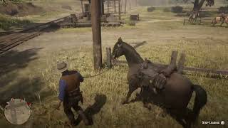 Red Dead Redemption 2 Barrel racing lesson [upl. by Letney]