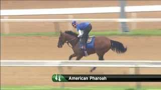 American Pharoah gallops on May 31 [upl. by Antonetta507]