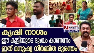 മറുനാടന്റെ ഇടപെടൽ ഫലം കണ്ടു17 കാരന്റെ ദുഃഖത്തിന് അറുതി  Homestead farming  Navaikulam [upl. by Enila]