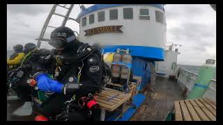 Scuba Diving Orkney Scapa Flow Nov22 [upl. by Igor]