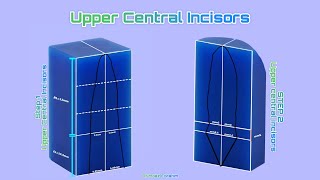 Step 1 Carving Upper Central Incisor Wax amp white board [upl. by Faunie]