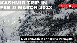 Kashmir Trip in February amp March 2023  Live Snowfall in Srinagar Gulmarg Pahalgam Sonmarg [upl. by Medarda]