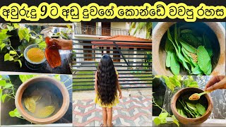 පේර කොලෙන් අවුරුද්දකින් මෙච්චර කොන්ඩේ වැවුනා Guava Leaf Hair Tonic pera kola sathkaraya hairtonic [upl. by Corrina]