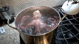 Eating LARGE OCTOPUS MUST WATCH [upl. by Atnoved]