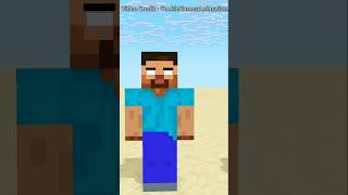 Watch Till End minecraft animation [upl. by Viva]