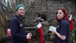 Longleat Christmas Message  2016 [upl. by Ylahtan]