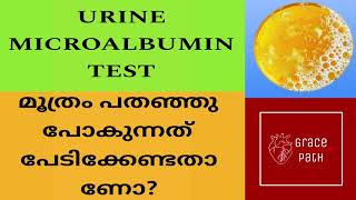 Urine Microalbumin Test  Urine Albumin Creatinine Ratio  uACR Malayalam [upl. by Madlen]