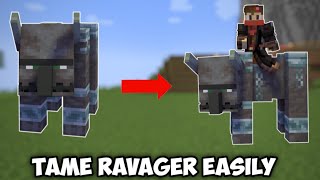 How To Tame And Ride A Ravager  Minecraft Tutorial [upl. by Gnak]