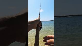 First ever Whiting Beach FISHING fishing beachfishing happydays insta360 camping gonefishing [upl. by Nowyt]