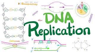 DNA replication in Prokaryotes amp Eukaryotes DETAILED  Molecular Biology 🧬 amp Biochemistry 🧪 [upl. by Aloysius]