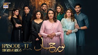 Noor Jahan Episode 17 Highlights  Kubra Khan  Saba Hamid  Ali Raza  ARY Digital [upl. by Anielram126]