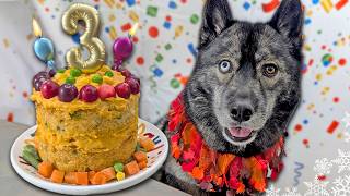 Turkey Feast Birthday Cake for Dogs 🦃 DIY Dog Treats  Thanksgiving for Dogs [upl. by Arundell]