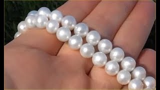 GIA Certified Mikimoto Japanese Saltwater Akoya Pearl Necklace  Gold Clasp  Up For Auction [upl. by Starinsky]