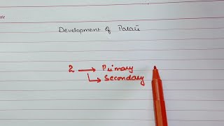 Development of palate  Palate Embryology in easiest way [upl. by Yraek]